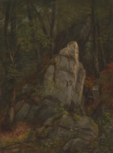 Studio delle rocce nel burrone di Pearson