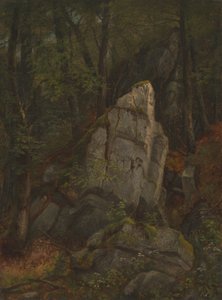 Studio di rocce nella gola di Pearson