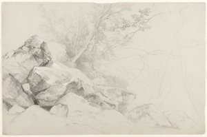 Studio di Rocce con Alberi, Hague, Lago George, New York, 1862