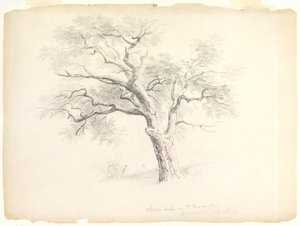 La quercia castagna nella tenuta Hosack, Hyde Park, New York con cinque figure e un artista che disegna, 1838 da Asher Brown Durand