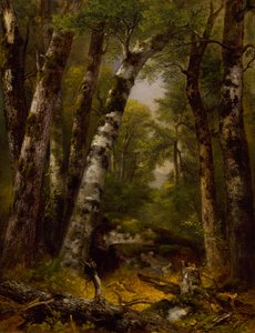 Valle boscosa, ca. 1850-1855 da Asher Brown Durand