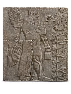 Rilievo di un genio alato, regno di Ashurnasirpal, c.883-859 a.C. da Assyrian