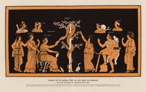 Eracle ruba le mele d