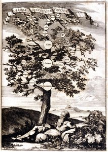 Albero genealogico di Noè da: Athanasius Kircher, Turris Babel, Roma 1675 Milano