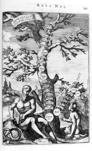 Albero genealogico di Adamo, 1675