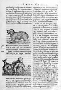 Creature mitiche, 1675