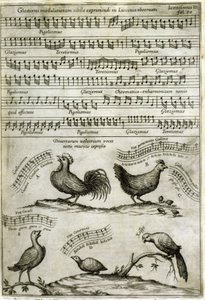 Il canto emesso da certi volatili espresso con note musicali da: "Musurgia Universalis" di Athanasius Kircher da Athanasius Kircher
