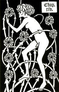 Ermafrodito tra le rose da Le morte d