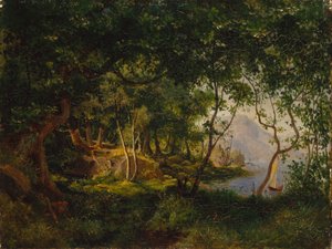 Studio di paesaggio da August Cappelen