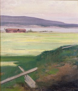 Paesaggio con uno stile, Norrland, Svezia da August Hagborg