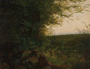 Ai margini della foresta, ca. 1820 da August Heinrich