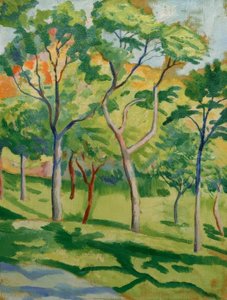 Alberi nel prato da August Macke