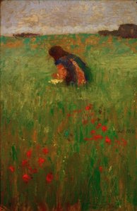 Bambino nel prato