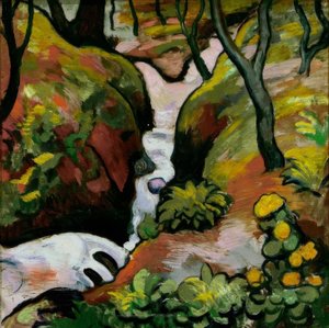 Ruscello nel bosco