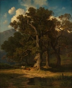 Paesaggio boschivo da August Maximilian Zimmermann