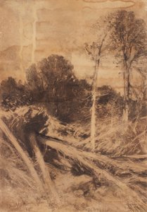 Studio di albero