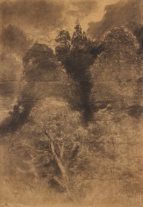 Studio di alberi da August Schaeffer von Wienwald