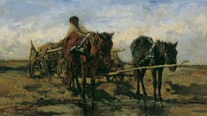 Carro contadino ungherese sull