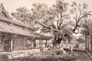Il Tempio di Buddha nei sobborghi di Honan a Canton, tavola 24 da 