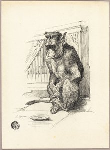 Scimmia mendicante da Auguste Andre Lancon
