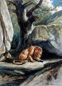 Illustrazione della favola "Il leone e il topo" di Jean de La Fontaine. Acquerello di Auguste Delierre (1829-c.1890) da Auguste Delierre