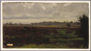 Paludi, metà degli anni 1850