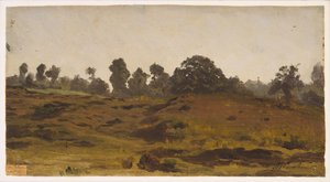 Vista di un campo, primi anni 1850