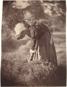Contadino, c. 1870 (foto)