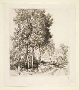 La valle del Petit Morin vicino a Verdelot (Seine-et-Marne) da Auguste Lepere