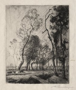 Tramonto dietro gli Alberi da Auguste Louis Lepère