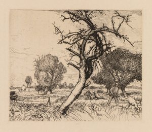Auguste Lepère: Il melo morto (Picardie)