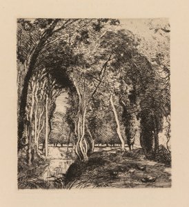 Auguste Lepère: Sottobosco, alla Rigonette (Vendée) da Auguste Louis Lepère