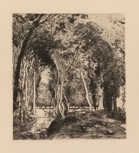 Auguste Lepère: Sous bois, à la Rigonette Vendée da Auguste Louis Lepère