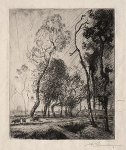 Tramonto dietro gli Alberi da Auguste Louis Lepère