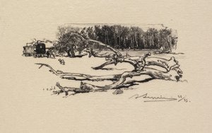 Foresta di Fontainebleau: Incrocio dell
