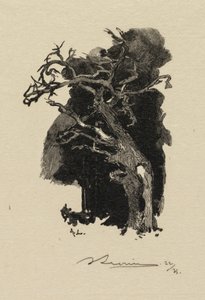 Foresta di Fontainebleau: Il furioso da Auguste Louis Lepère