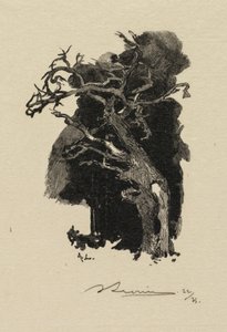 Foresta di Fontainebleau: Il furioso La Forêt de Fontainebleau: Le rageur, 1890 da Auguste Louis Lepère