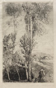 Il piccolo stagno