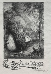 La Ravine en juin da Auguste Louis Lepère