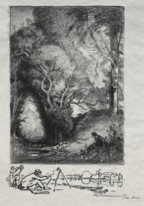 La Ravine en juin, 1913 da Auguste Louis Lepère