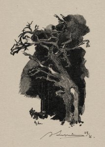 Il Furioso da Auguste Louis Lepère