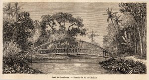 Un ponte di bambù, nella giungla, vicino al Monte Salak. Disegno di M. de Molins, per illustrare il suo viaggio a Giava.