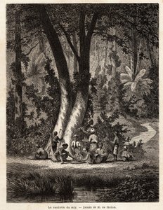 La raccolta di Siri, o betel, la cui foglia rivestita di calce è essenziale per la produzione del Chic locale. Disegno di M. de Molins, per illustrare il suo viaggio a Giava da Auguste de Molins