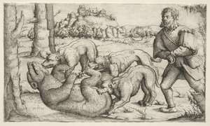  da Augustin Hirschvogel