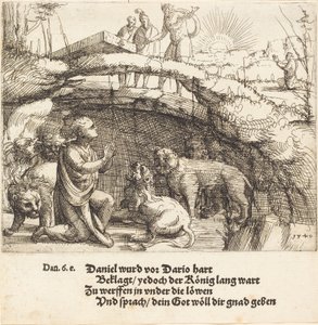 Daniele nella fossa dei leoni, 1549 da Augustin Hirschvogel