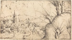 Paesaggio con una città a sinistra, 1549 da Augustin Hirschvogel