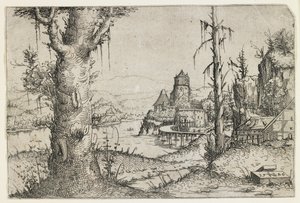 Grande albero e castello su un lago da Augustin Hirschvogel