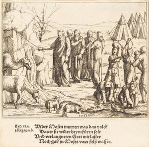 Mosè colpisce la roccia da Augustin Hirschvogel