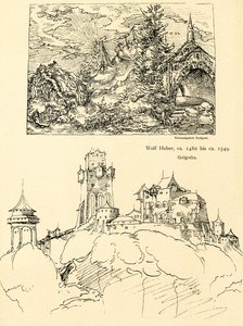 Studio della natura