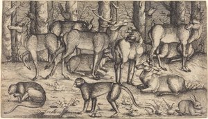 Cervi nella foresta da Augustin Hirschvogel